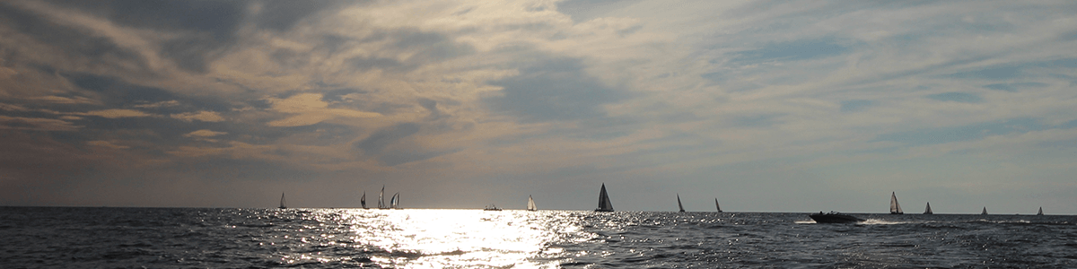 Our New Year's Resolution For You! - ITC SHOP NOW