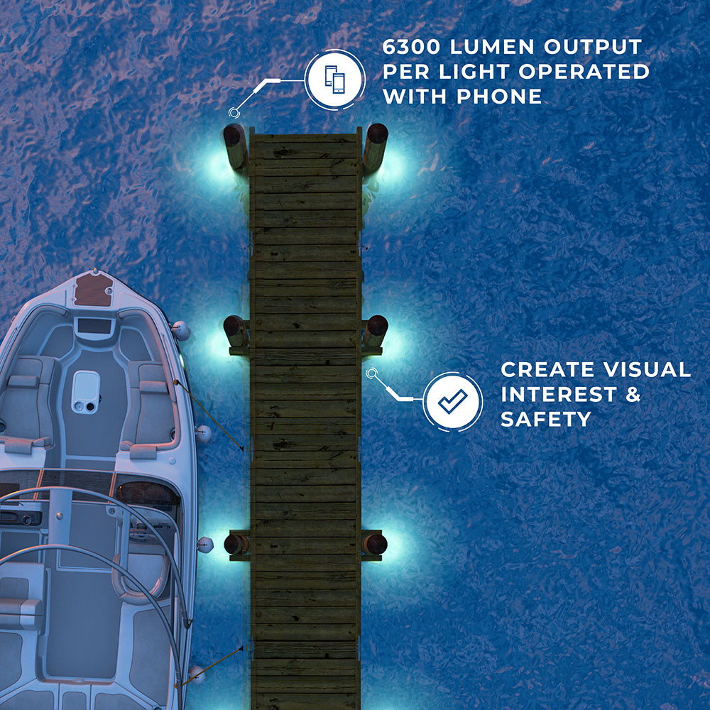 Shoul Dock Lighting System - 69687-B/W-SR | ITC Shop Now