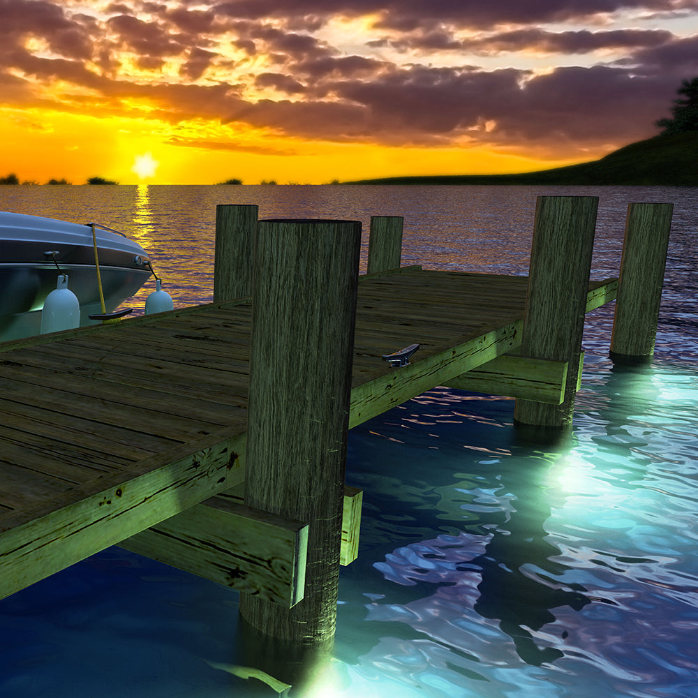 Shoul Dock Lighting System - 69687-B/W-SR | ITC Shop Now