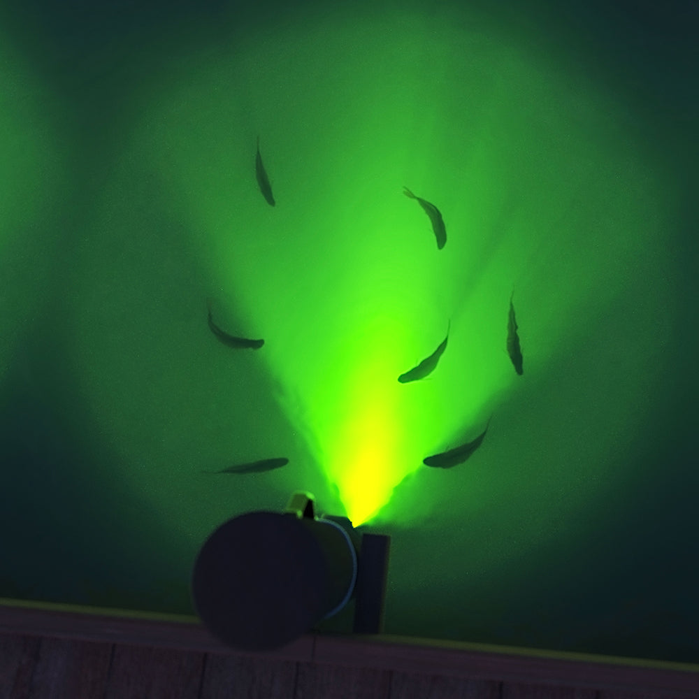 Shoul Dock Lighting System - 69687-B/W-SR | ITC Shop Now