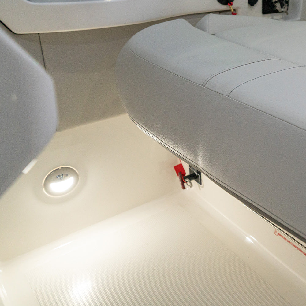 Flush Mount Cluster Courtesy Light